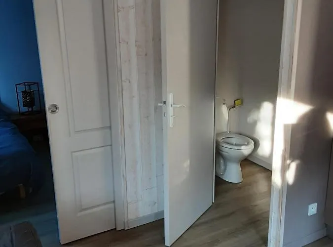 Appartement Maisonnette En Hyper Centre